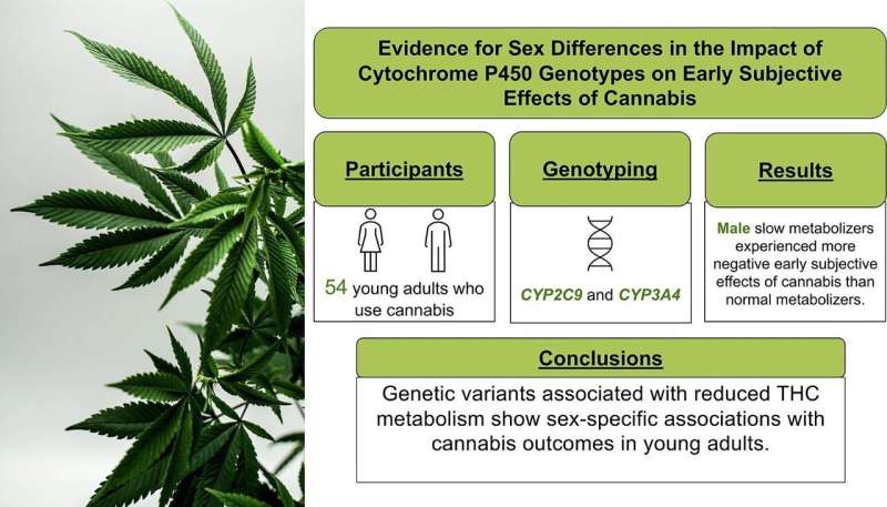 A genetic difference in THC metabolism may explain why some young adults have negative experiences with cannabis