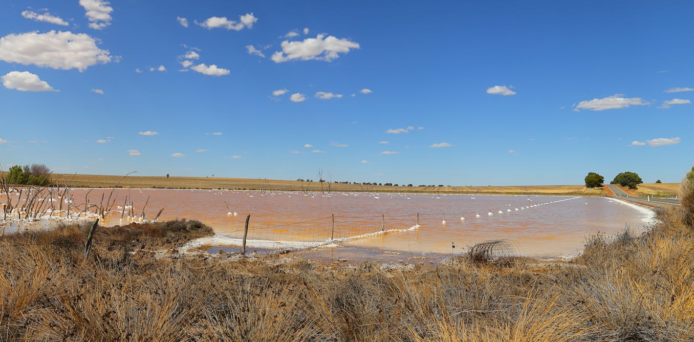 Even far from the ocean, Australia’s drylands are riddled with salty groundwater. What can land managers do?